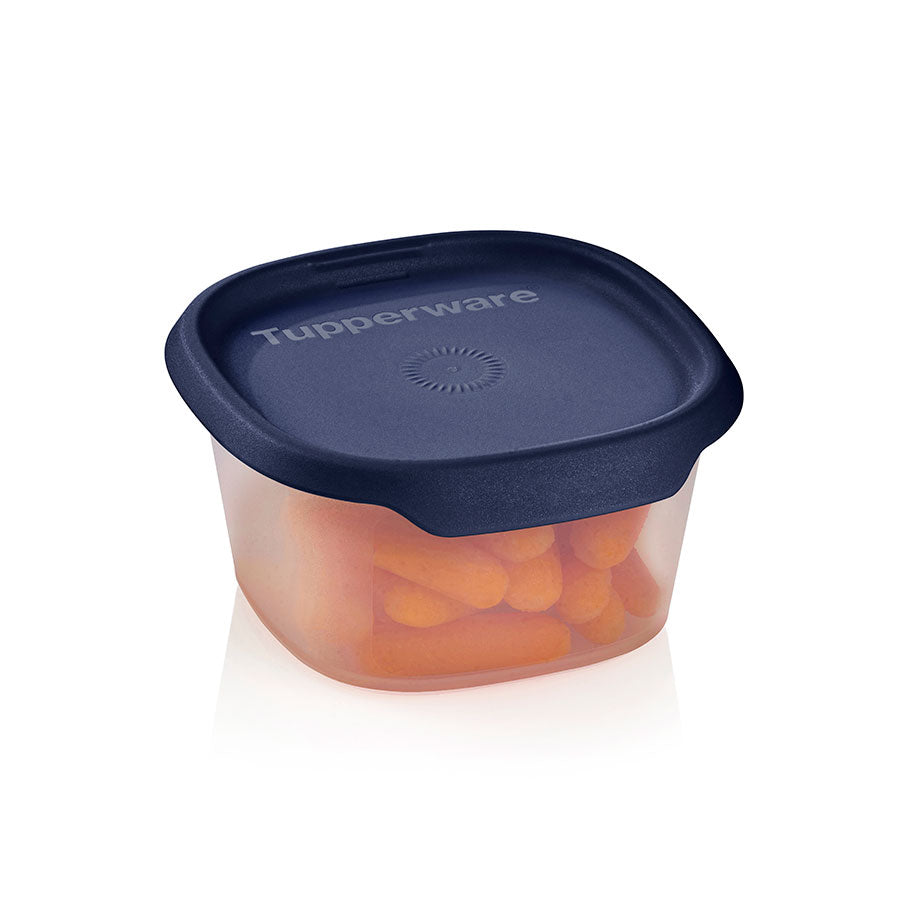 One Touch Fresh™ Airtight Food Storage Container - 370mL Small Square