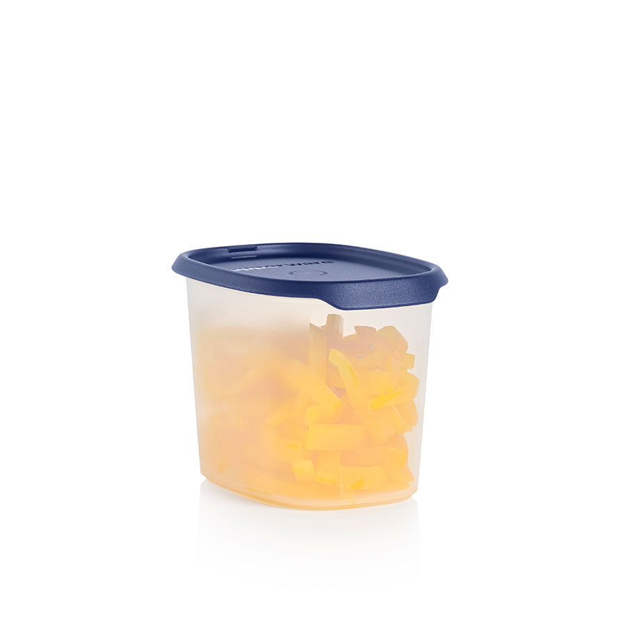 One Touch Fresh Airtight Food Storage Container – 1.1L Oval with Snap Lid