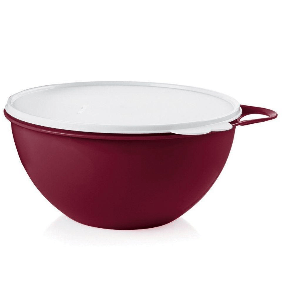 Thatsa® Medium Mixing Bowl with Leak-Proof Lid – 19 Cups (4.5L)