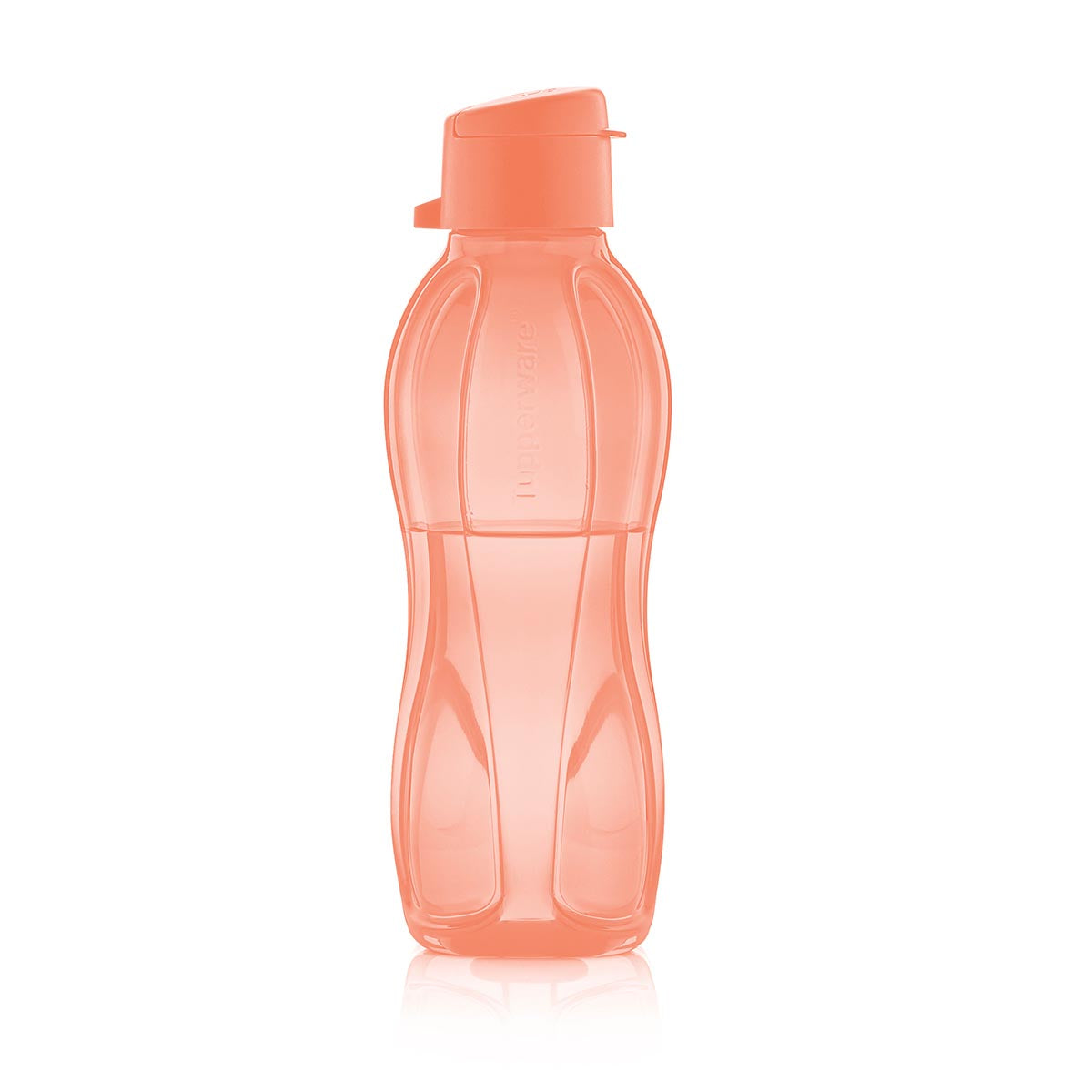 Eco+ Small Reusable Water Bottle | 500ml Leak Proof & Dishwasher Safe