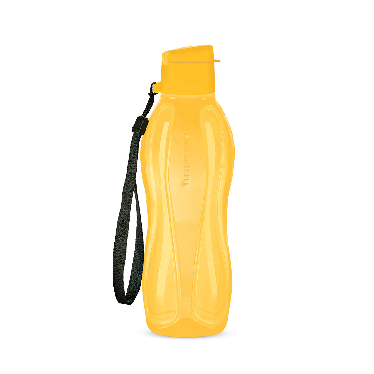 Eco-Friendly 16oz Water Bottle with Strap | Leak Proof & Dishwasher Safe
