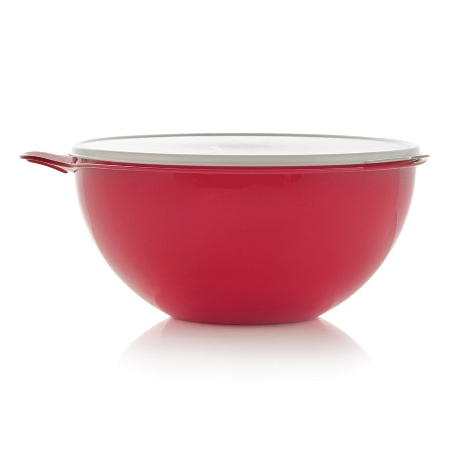 Thatsa® 32-Cup Leak Proof Mixing Bowl with Handle & Airtight Lid