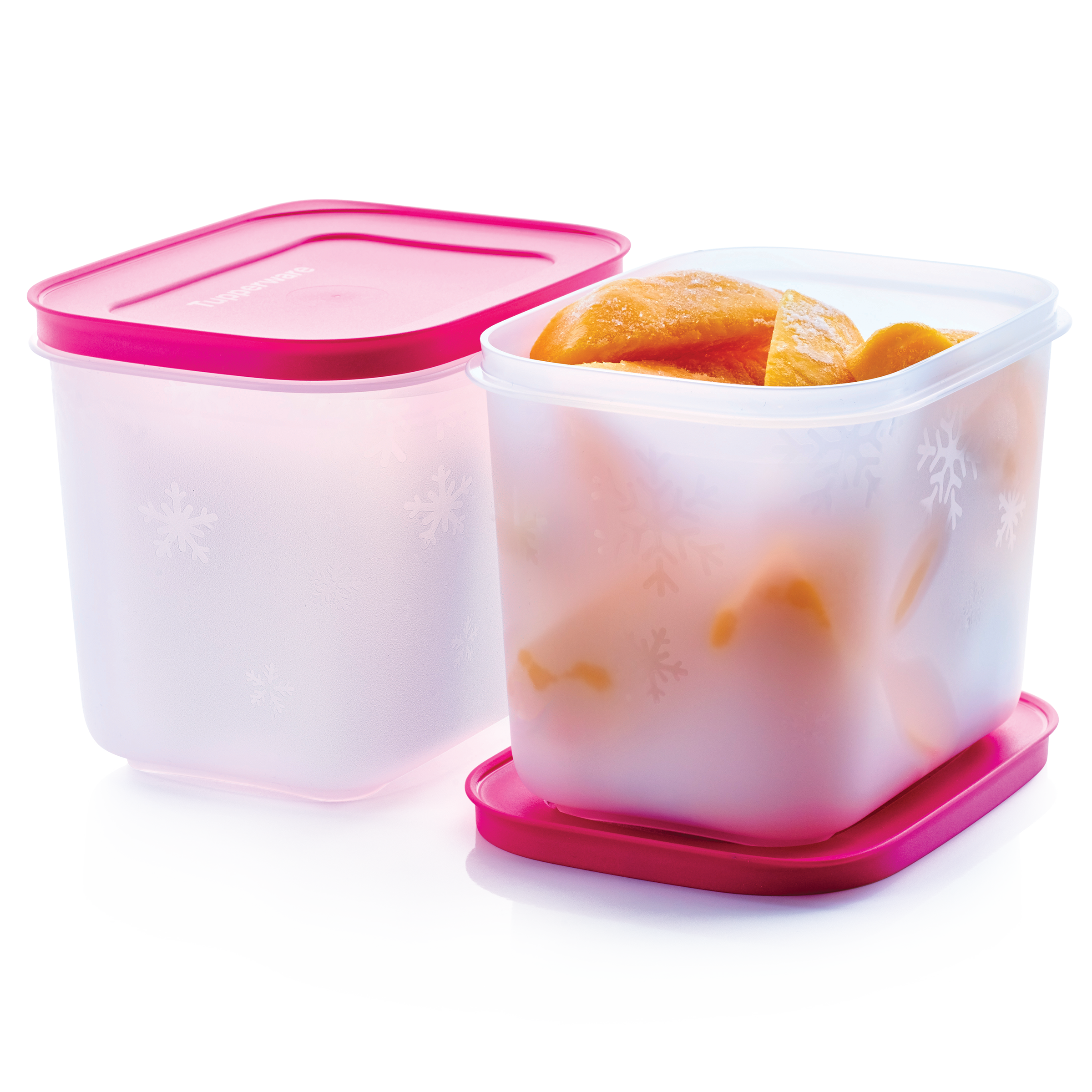 Tupperware Freezer Mates Small Deep Containers (2-Pack)