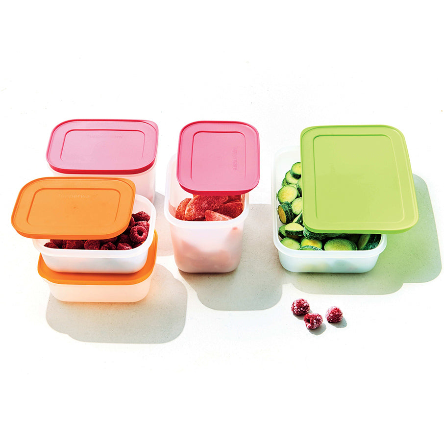 Tupperware Freezer Mates® Plus Medium Shallow Container - 1L, Space-Saving, Stain-Resistant