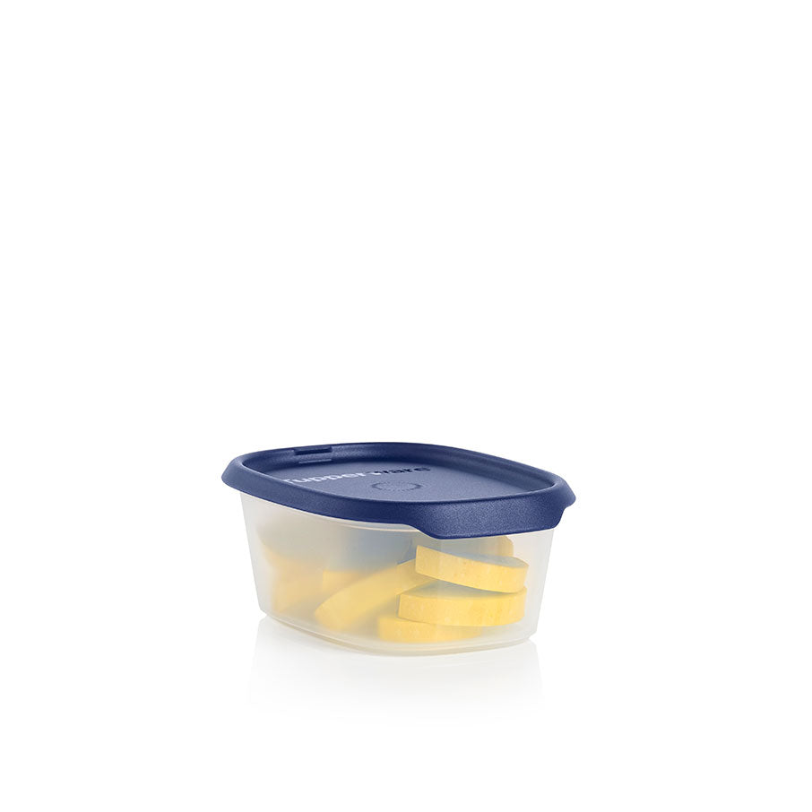 One Touch Fresh Airtight Food Storage Container, 540mL Oval